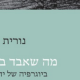 נורית גרץ – מה שאבד בזמן ומשומע בהסכת